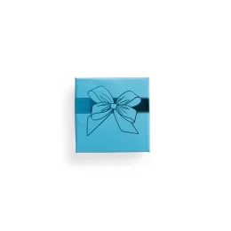 Caixa para Presente 19001